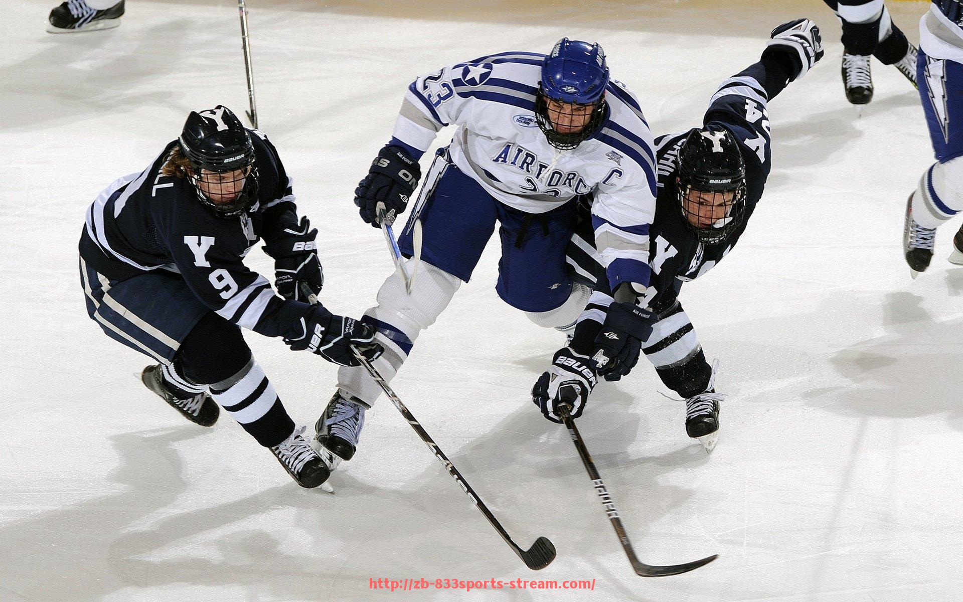 833体育直播-山东西王男篮阵容与主力球员资料一览